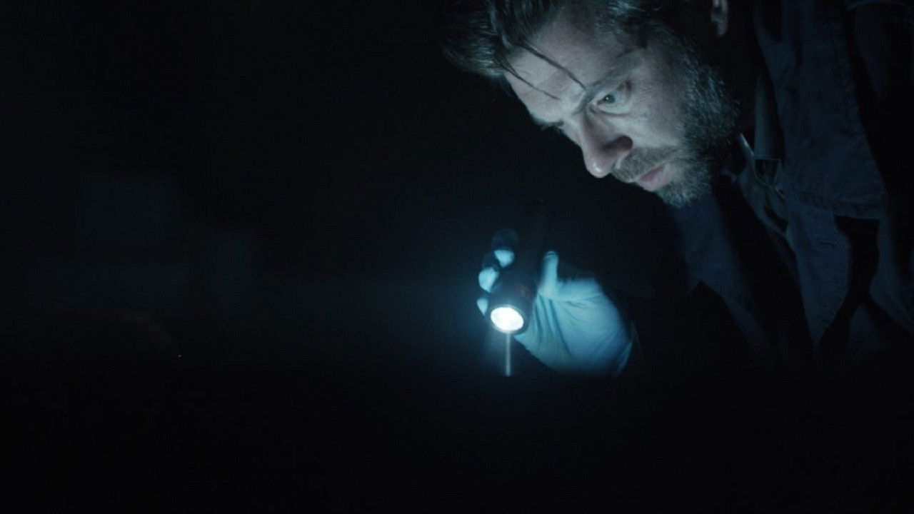 Nick Cafmeyer Collection