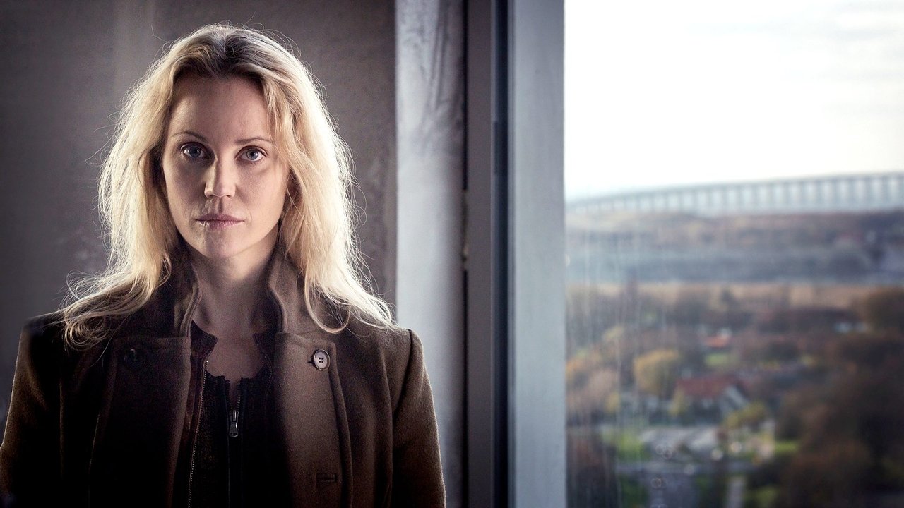 The Bridge - Season 3 Episode 10 : Episode 10
