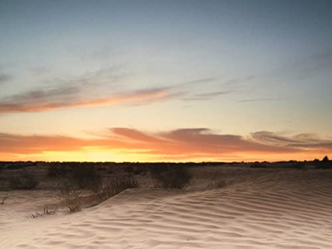 Sahara: Life on the Edge