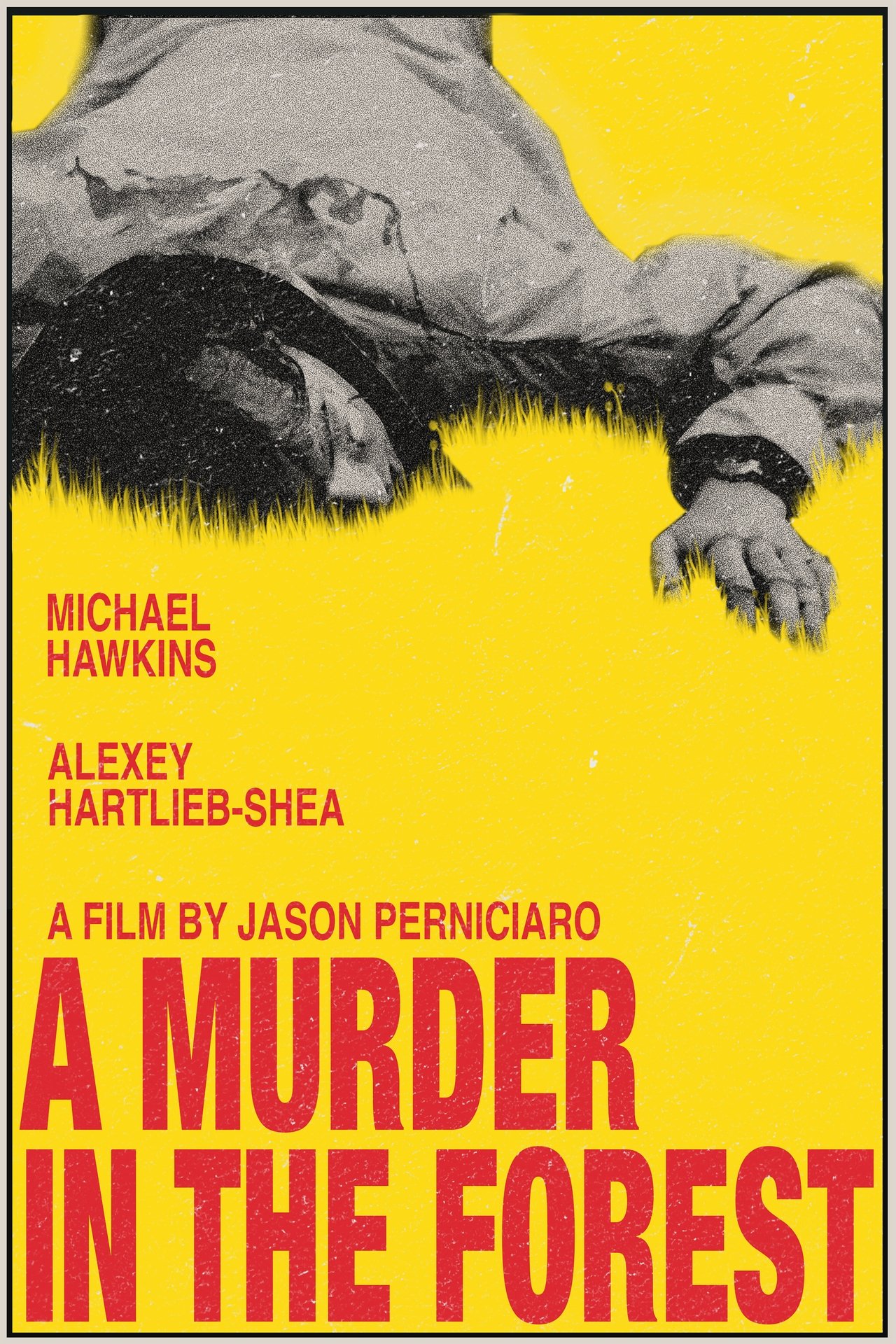 A Murder in the Forest A Murder in the Forest