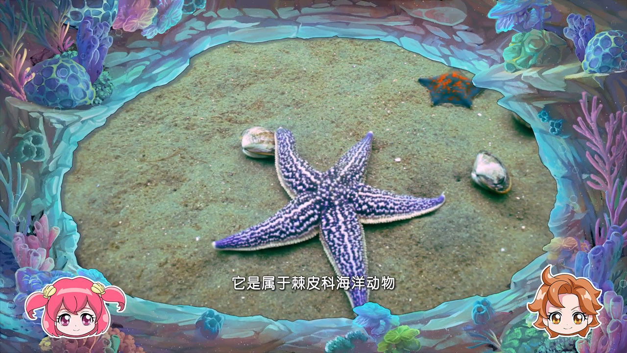 巴啦啦小魔仙魔法海洋馆 — Épisode 14