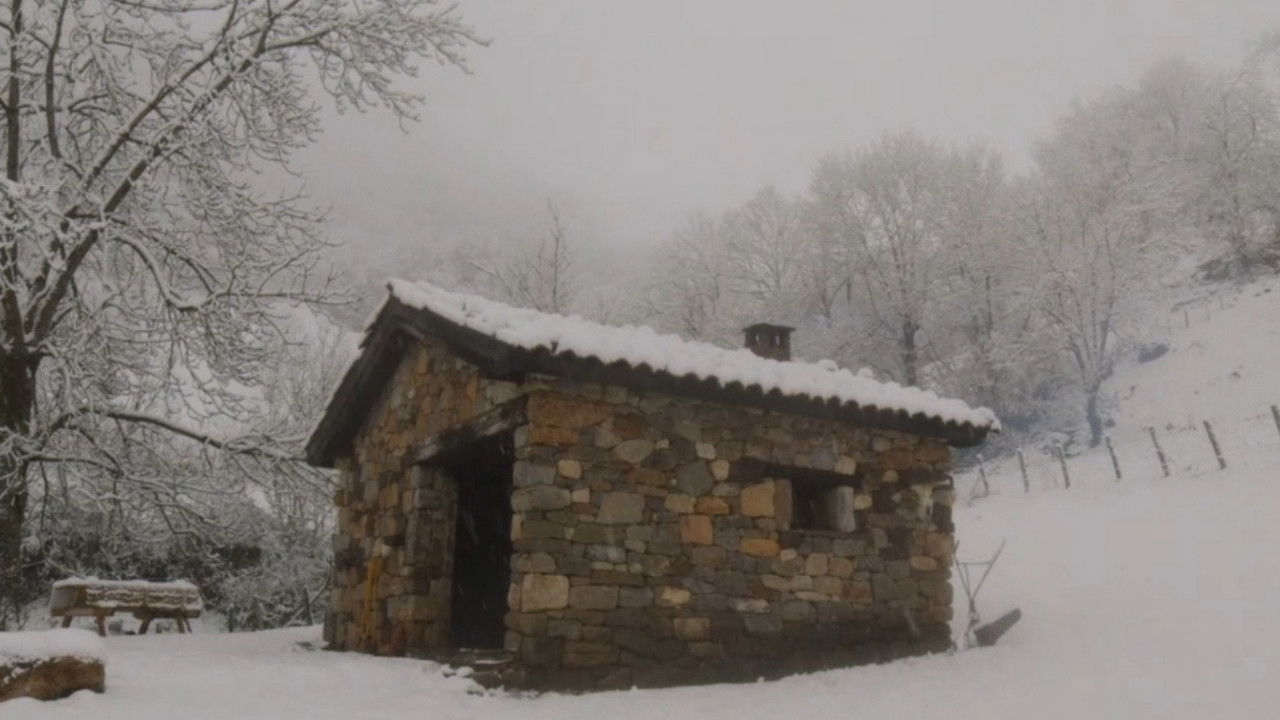 Savages: The Wolf's Tale backdrop