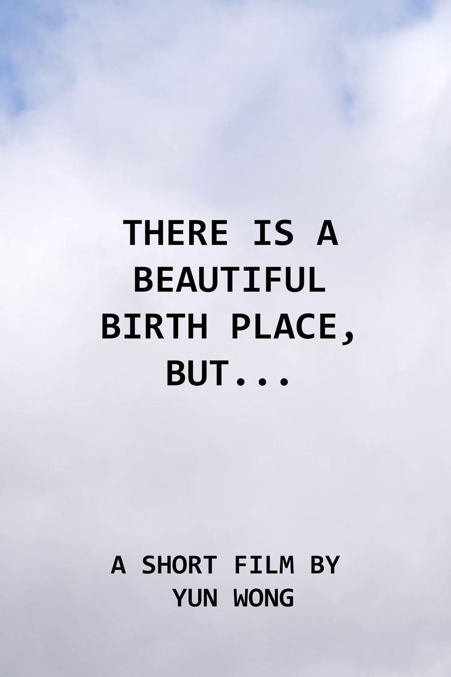 There Is a Beautiful Birth Place, But... poster
