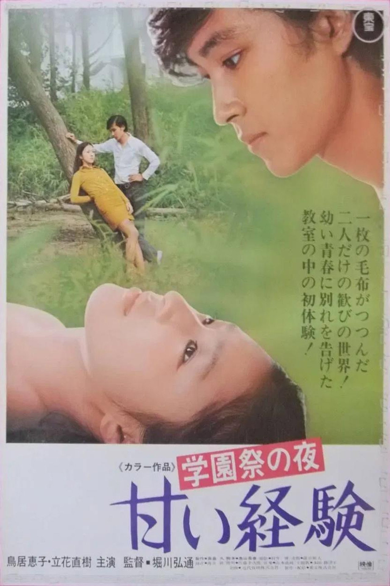 学園祭の夜 甘い経験 filmaffisch