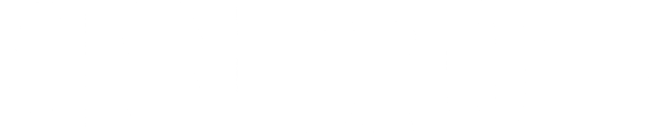 Ann Droid