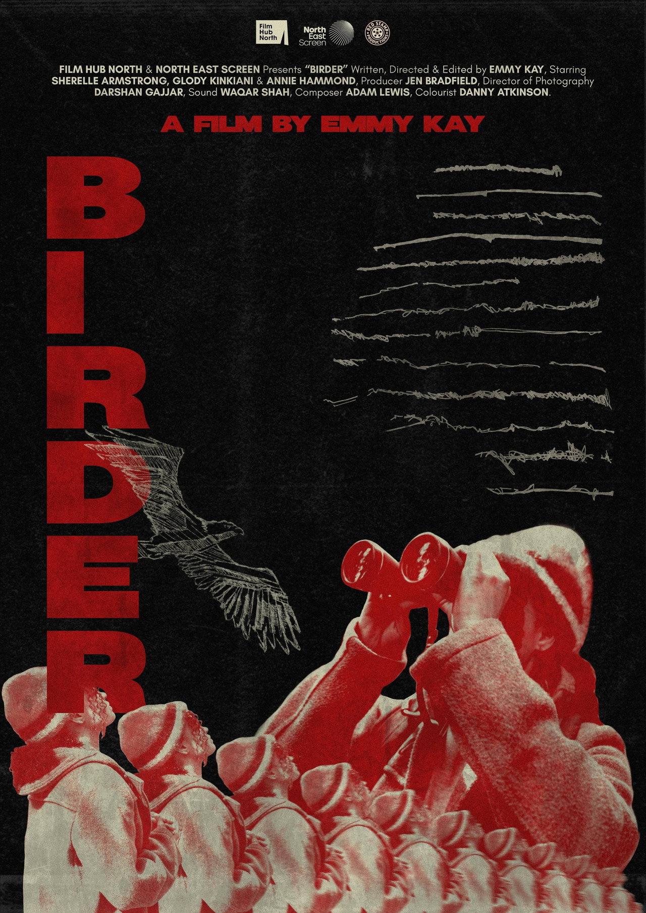 Birder filmaffisch