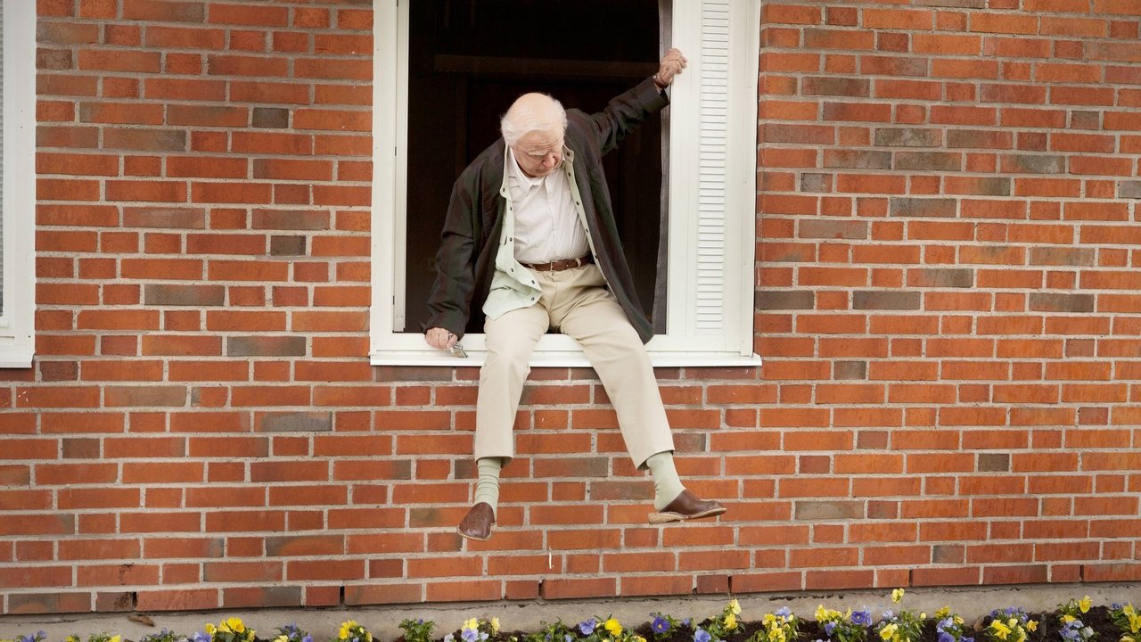 The 100 Year-Old Man Who Climbed Out the Window and Disappeared (2013)