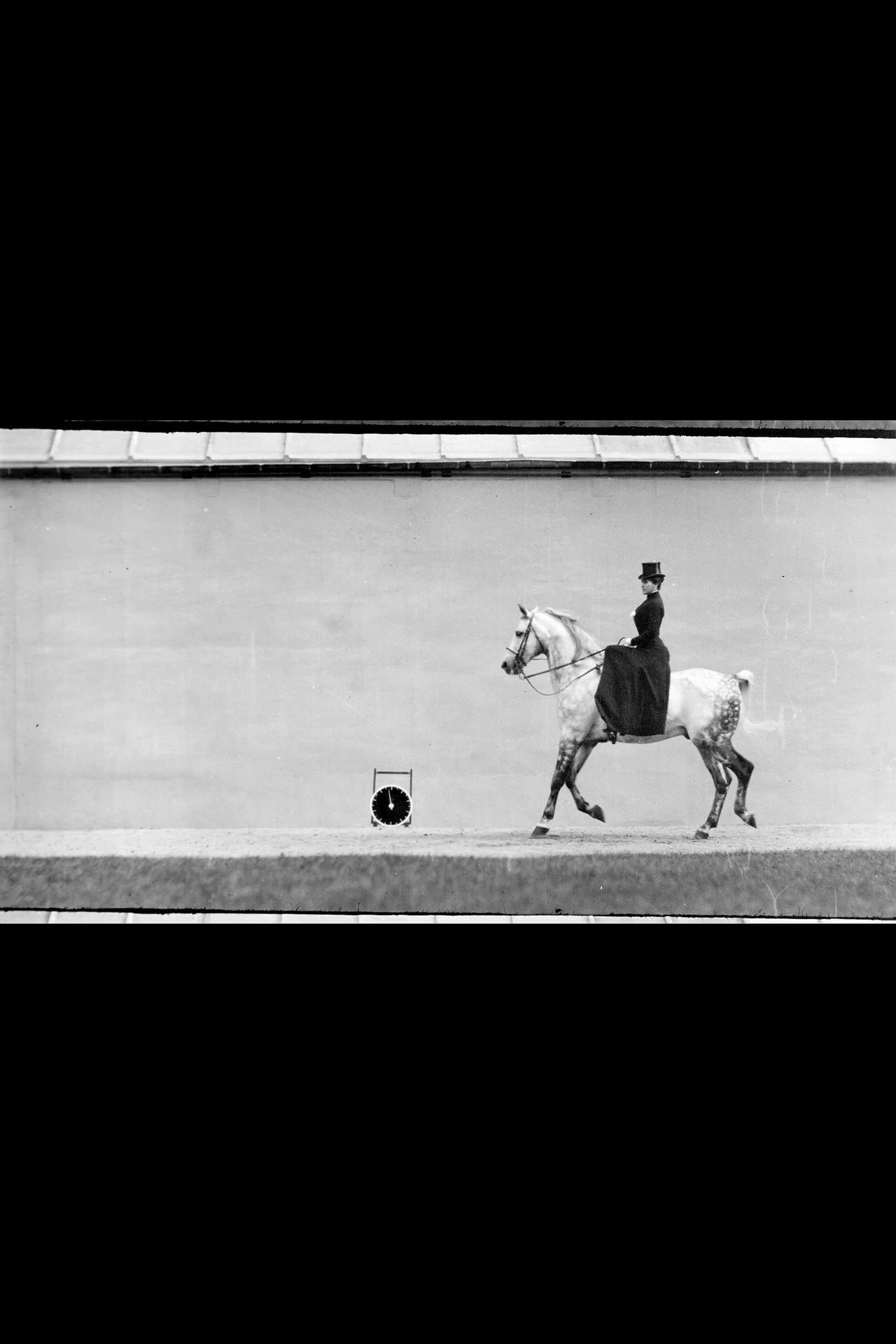 Cheval Bai, Monté par Thérèse Rentz, Petit Galop