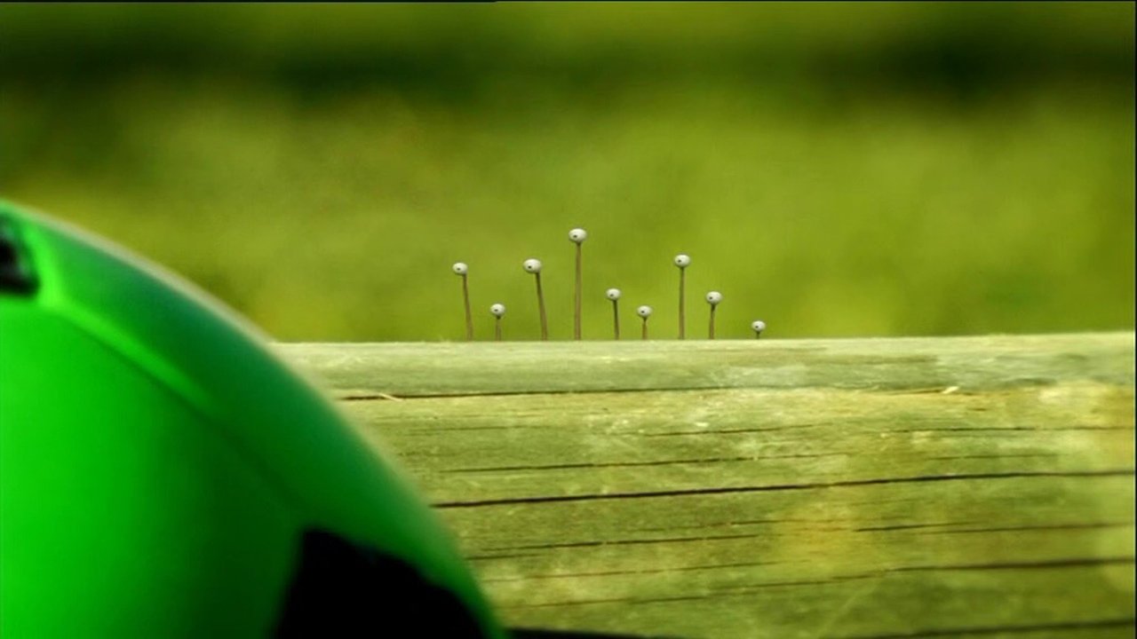 A Rolling Snail Gathers No Moss