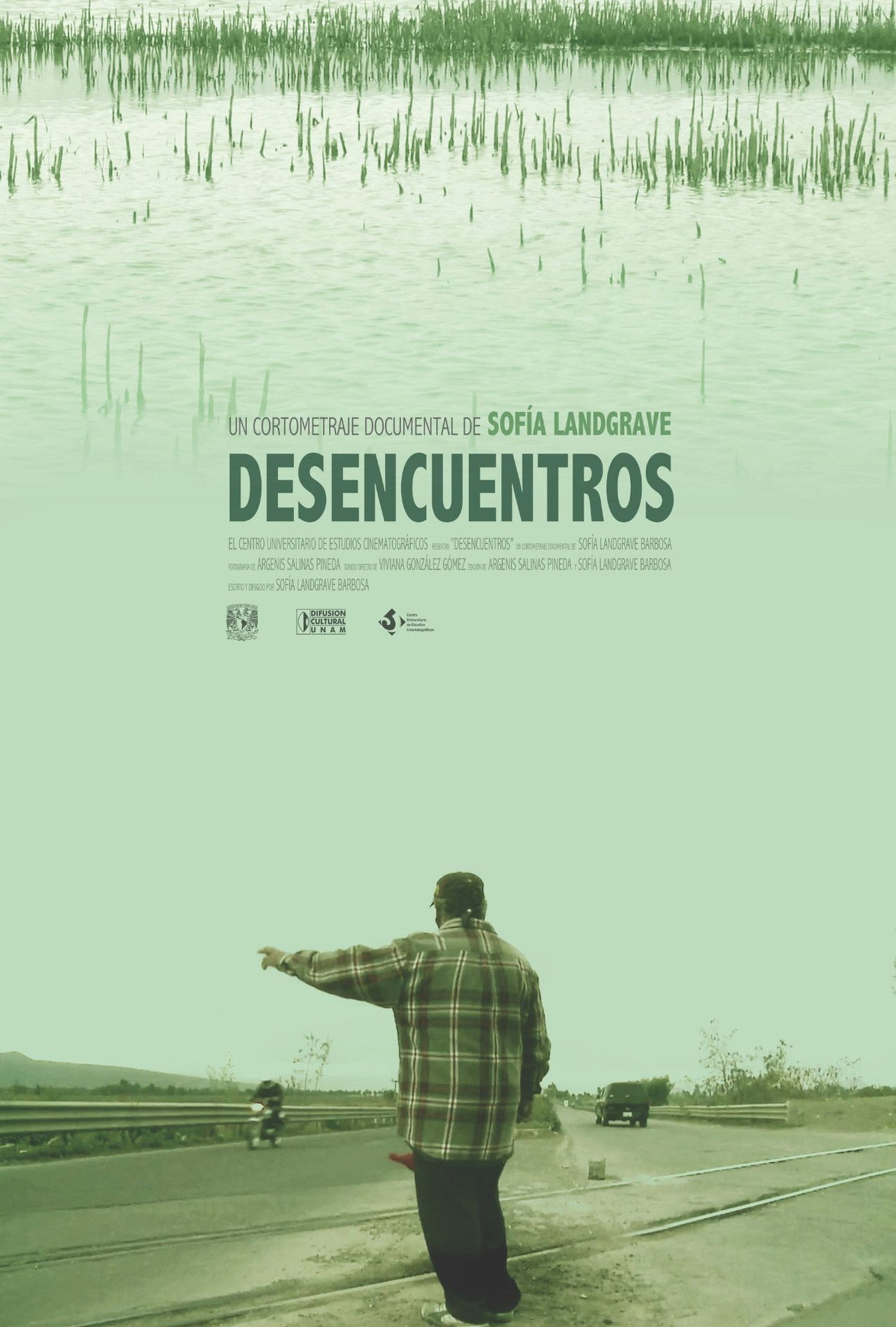 Desencuentros poster