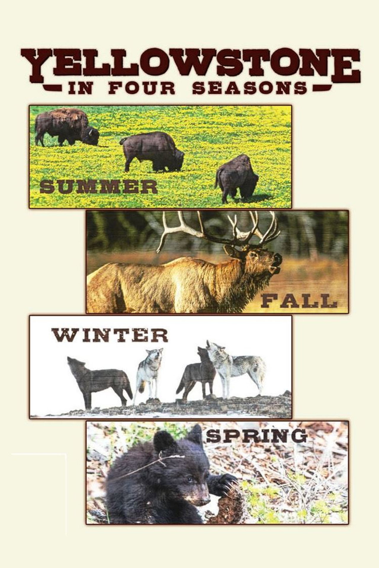 Yellowstone in Four Seasons poster