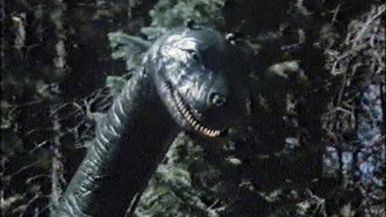 The Loch Ness Horror backdrop