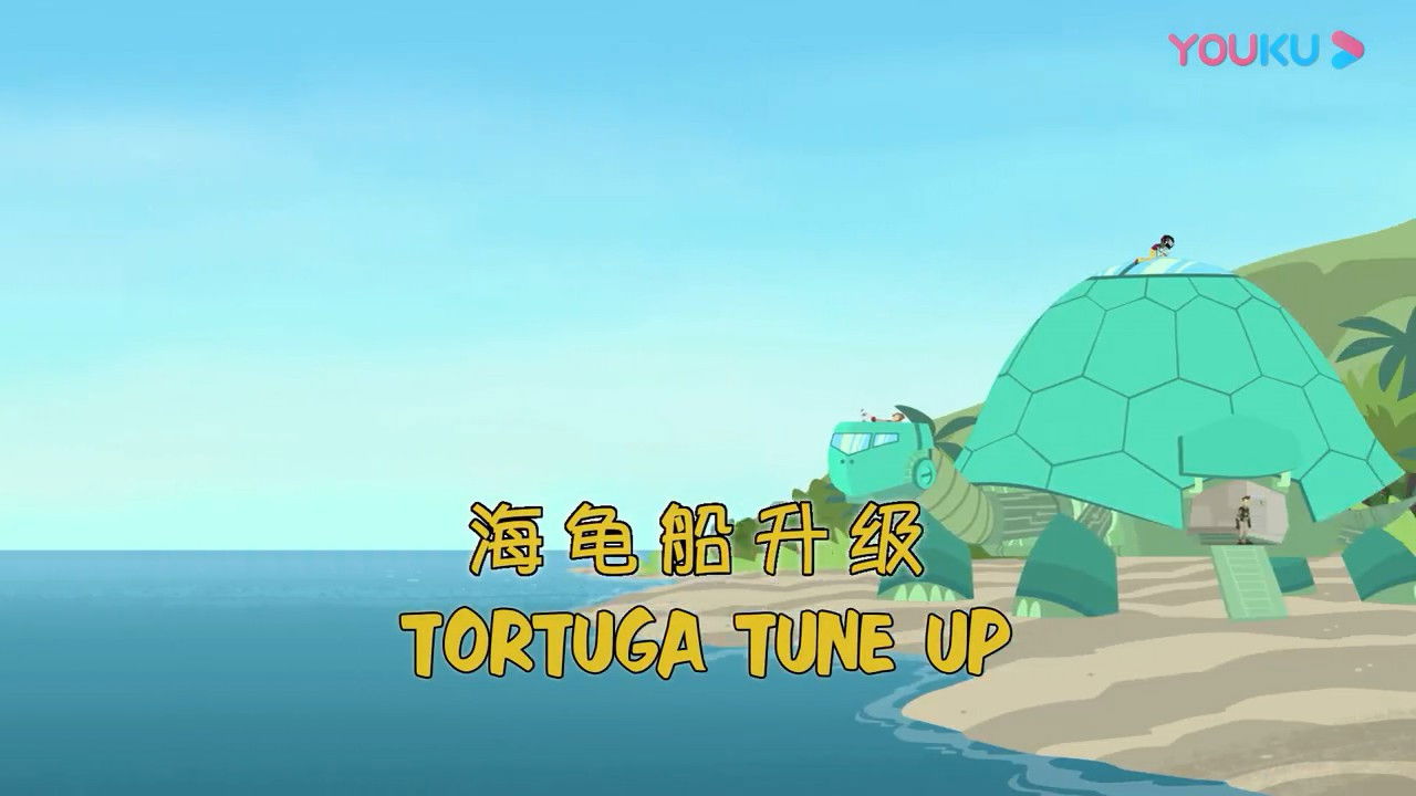 Tortuga Tune-Up