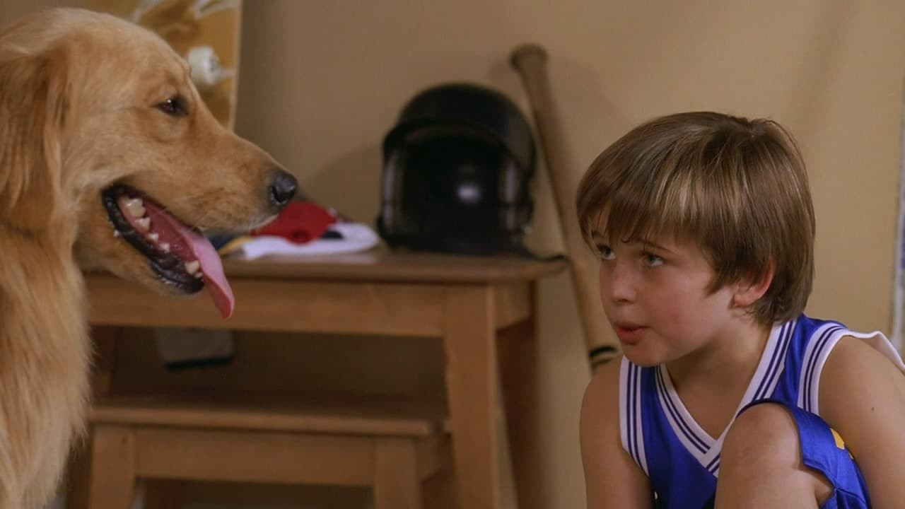 Air Buddies Movie Review and Ratings by Kids