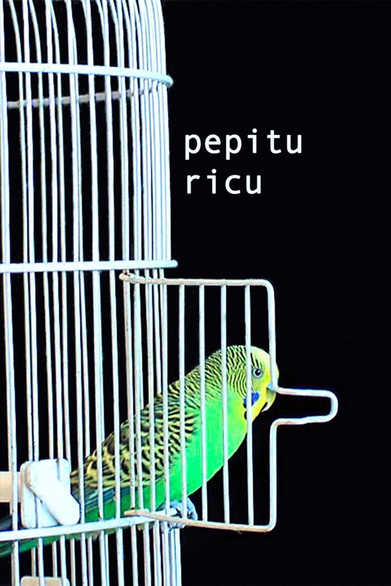 Pepitu Ricu filmaffisch