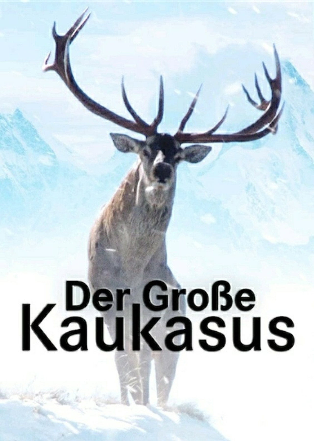 Der Große Kaukasus filmaffisch
