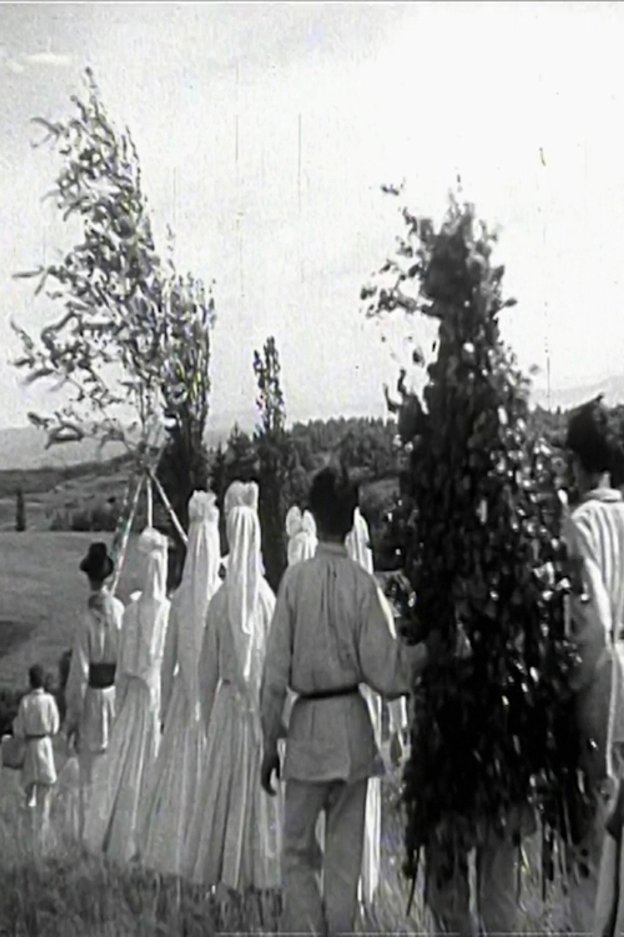 Springtime in White Carniola