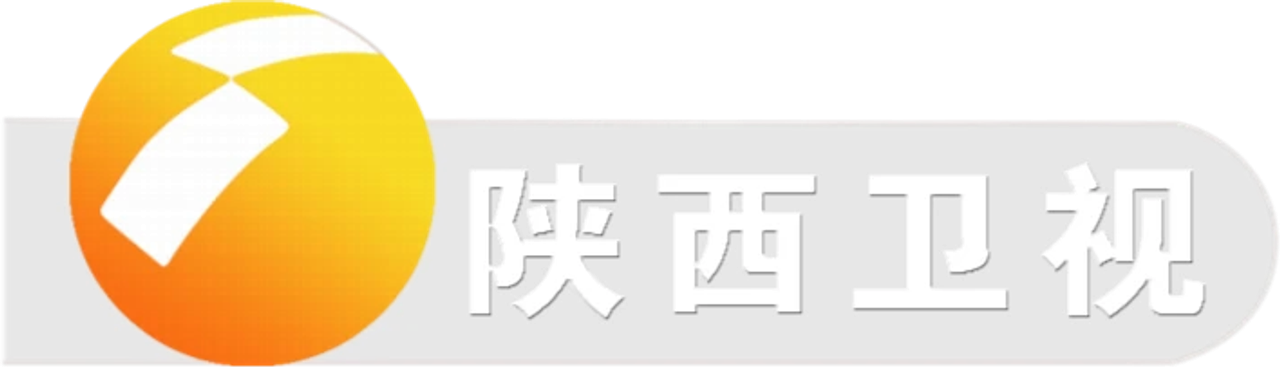 Shaanxi Television