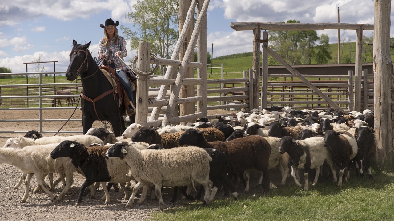 Heartland - Season 7 Episode 4 : The Penny Drops