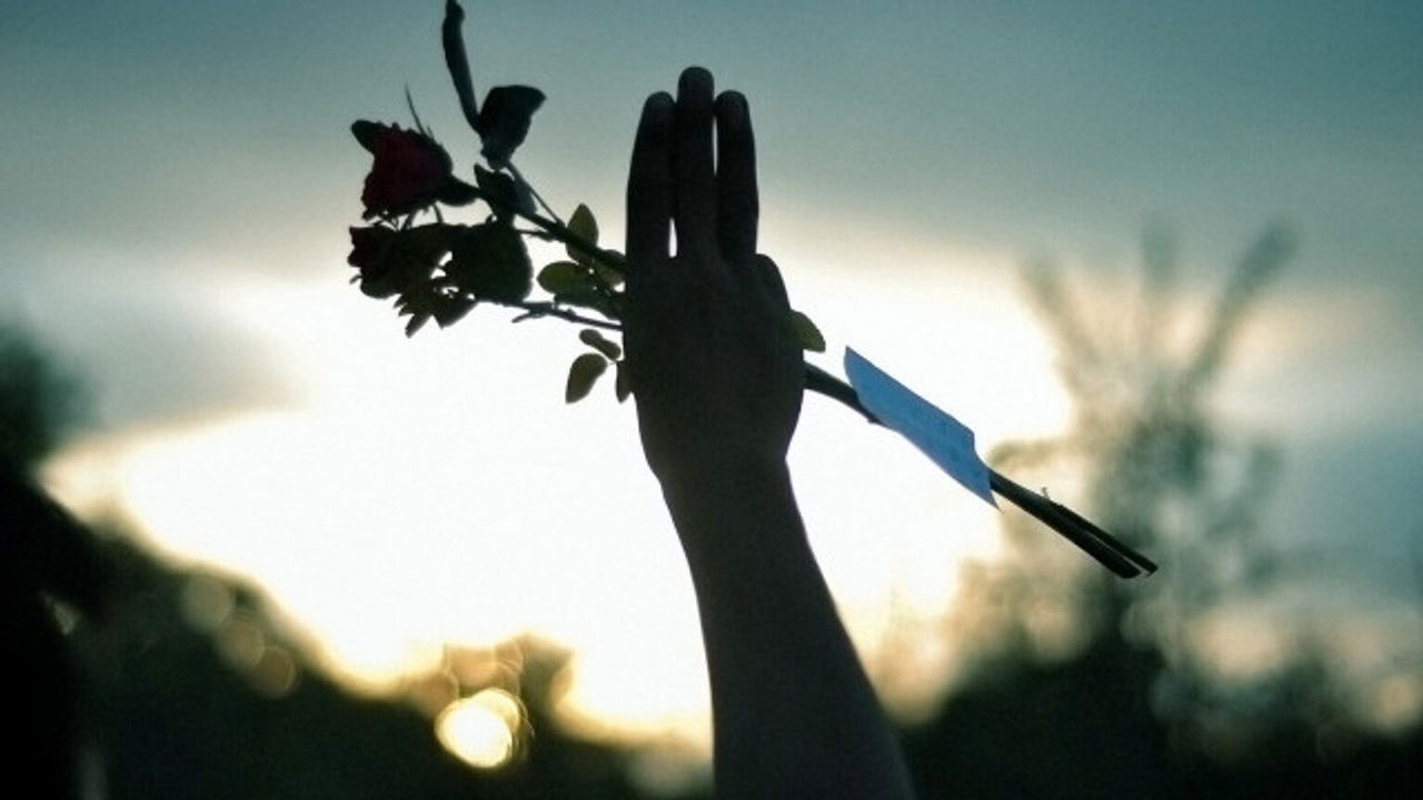 NHK Documentary — Épisode 22