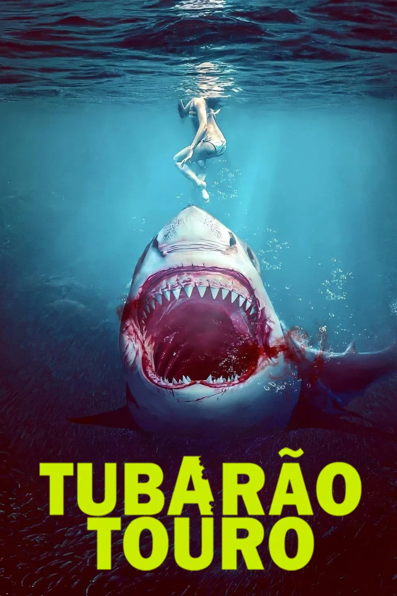 Tubarão Touro