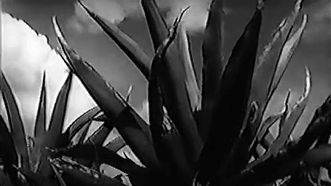 title image