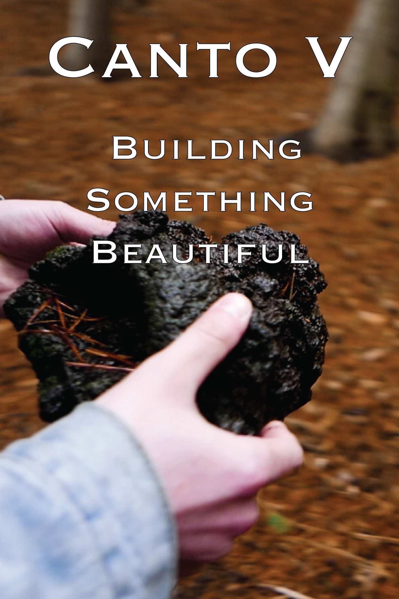 B'Twixt Mourn & Æterna - Canto V: Building Something Beautiful filmaffisch