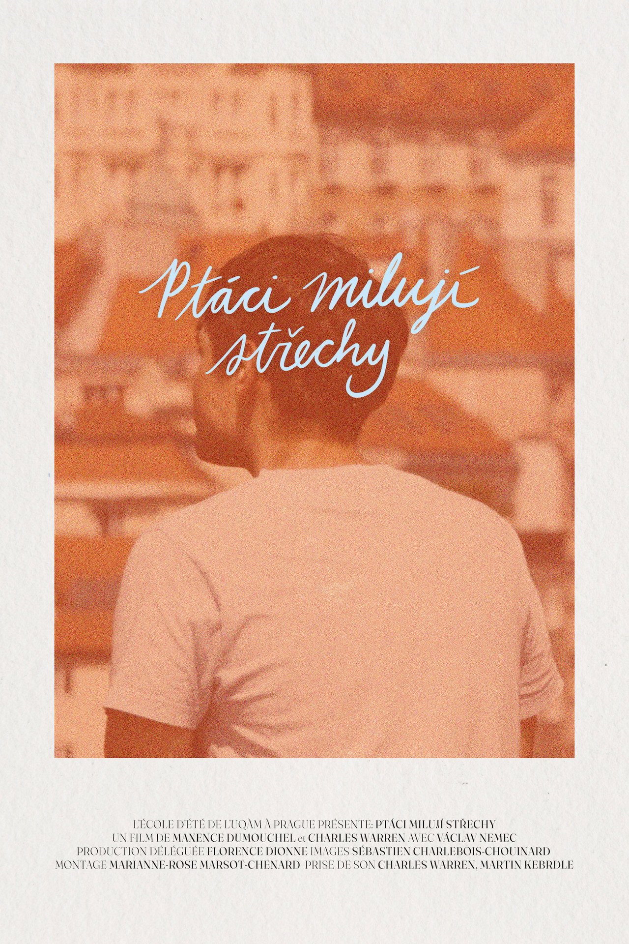 Ptáci milují střechy filmaffisch