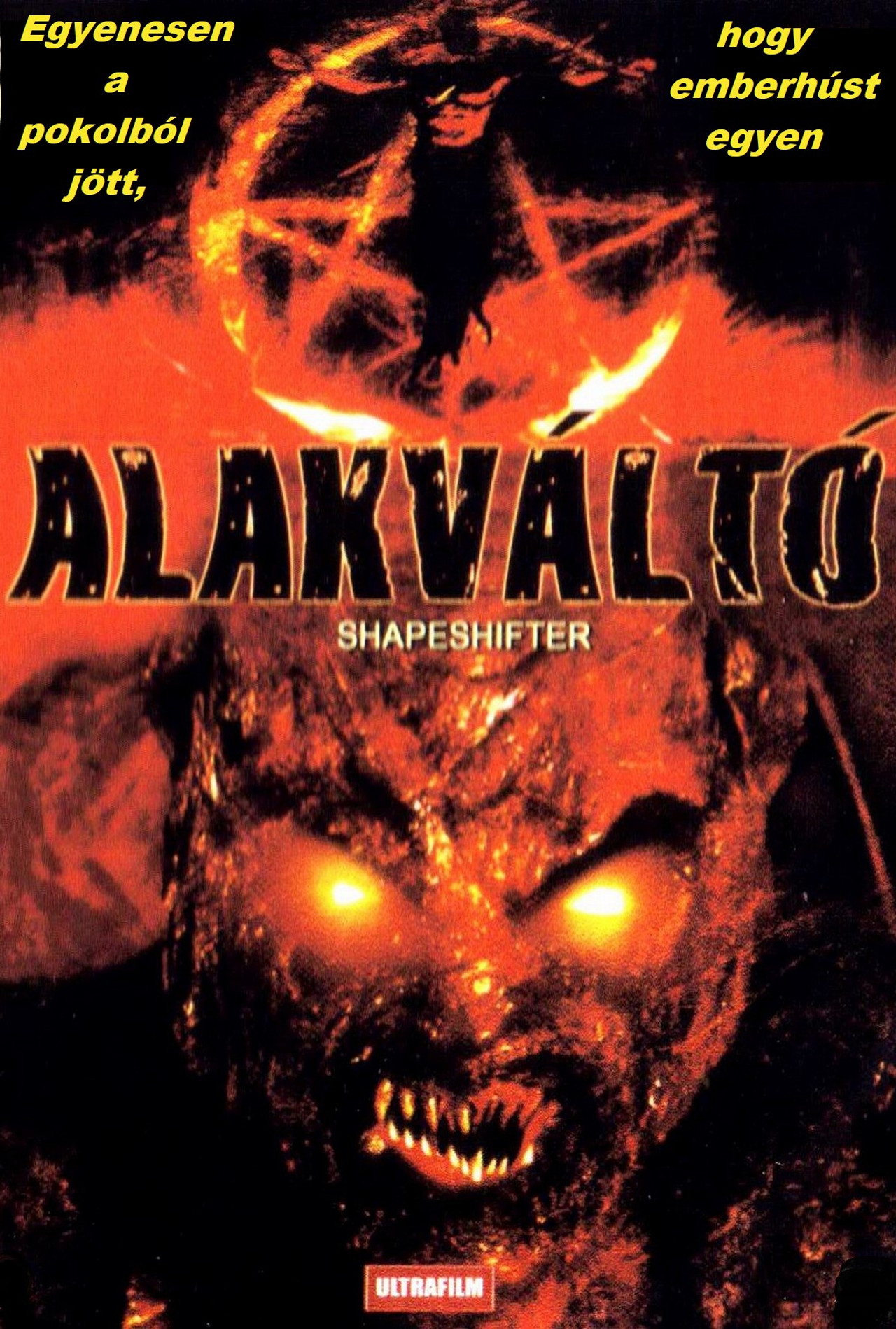 Alakváltó – plakát 3