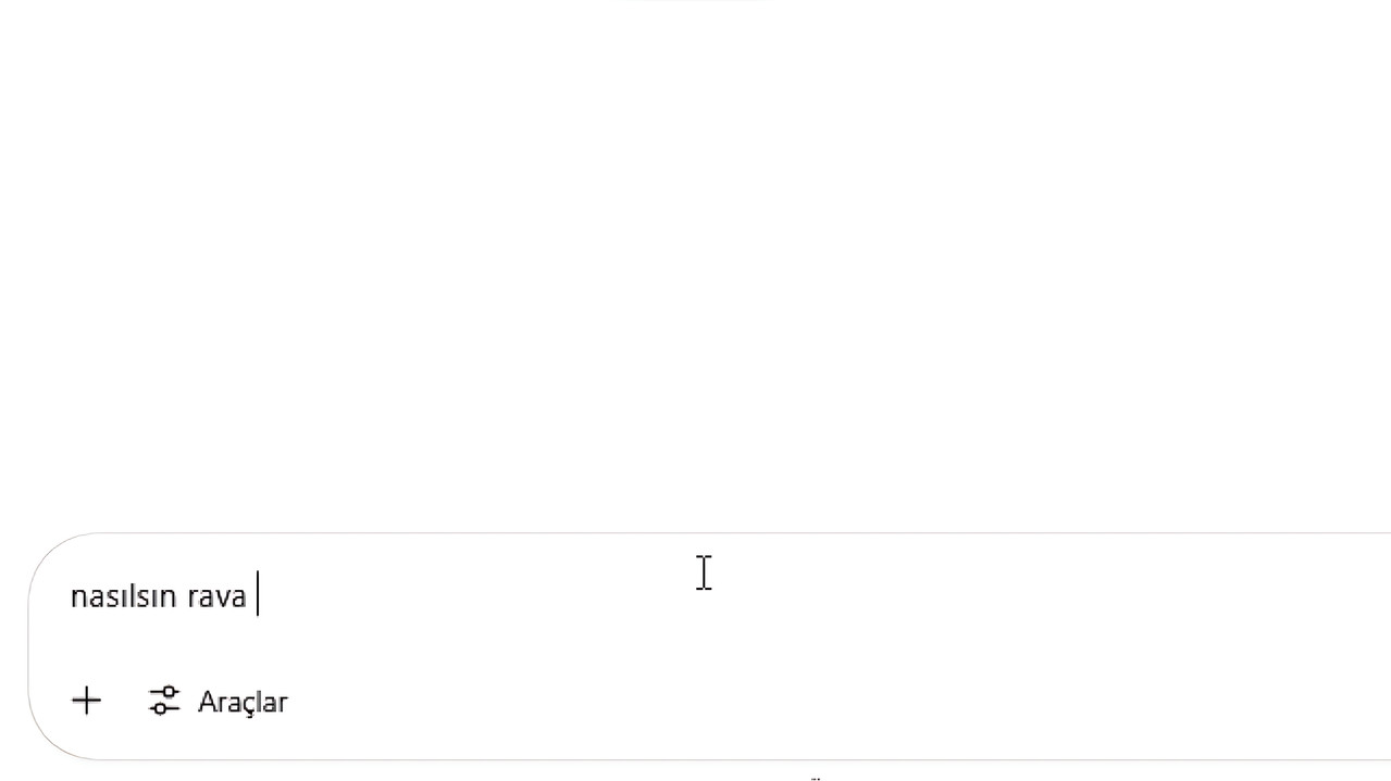 RAVA: An Artificial Friendship