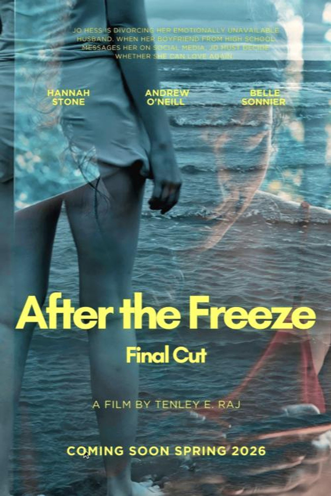After The Freeze poster