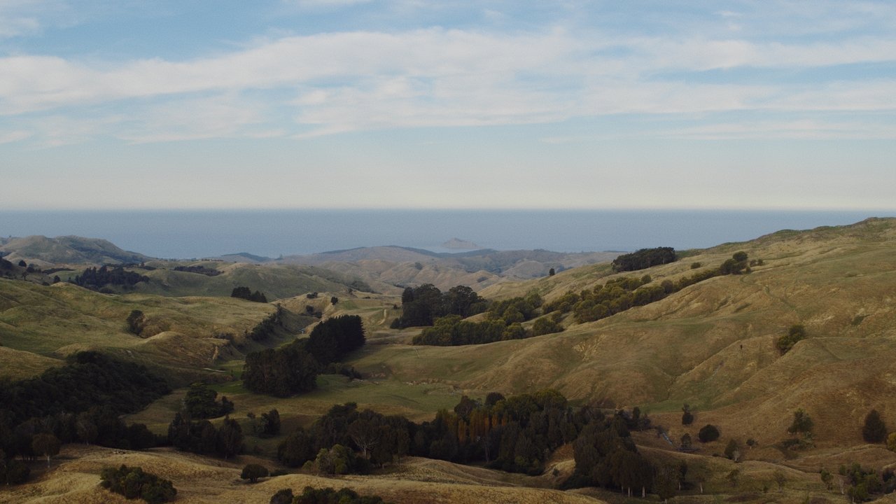 Fat Freddy's Drop: WAIRUNGA Concert Film background