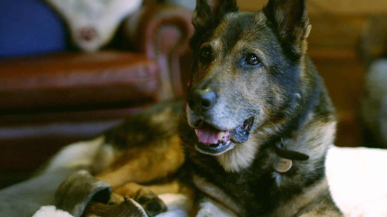 Frontline Fightback — Épisode 5