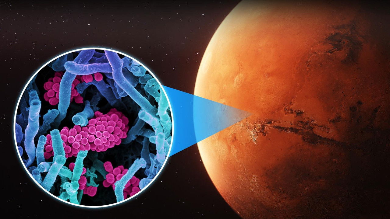 Why Life on Mars Will DOOM Humanity