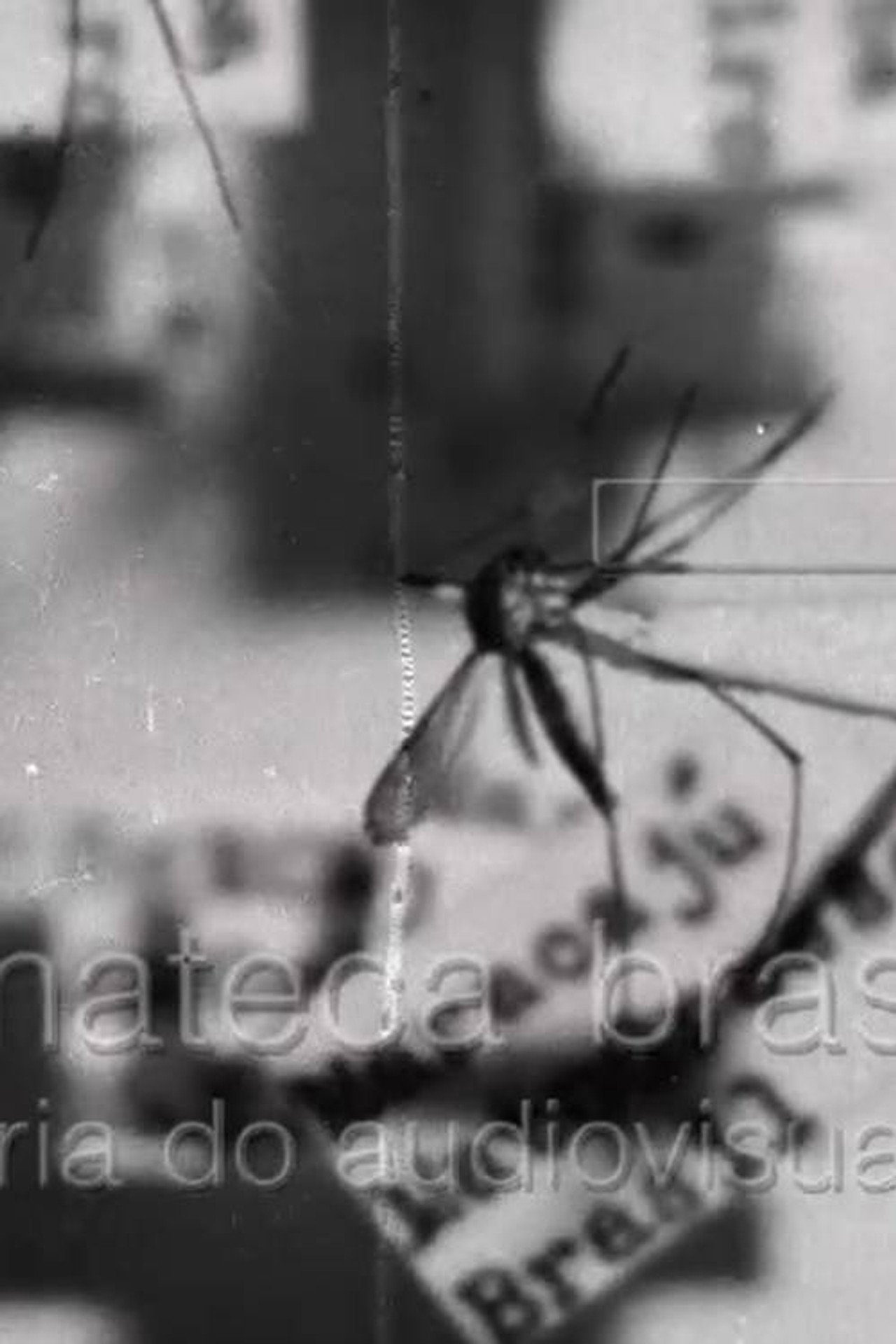 Febre Amarela II filmaffisch