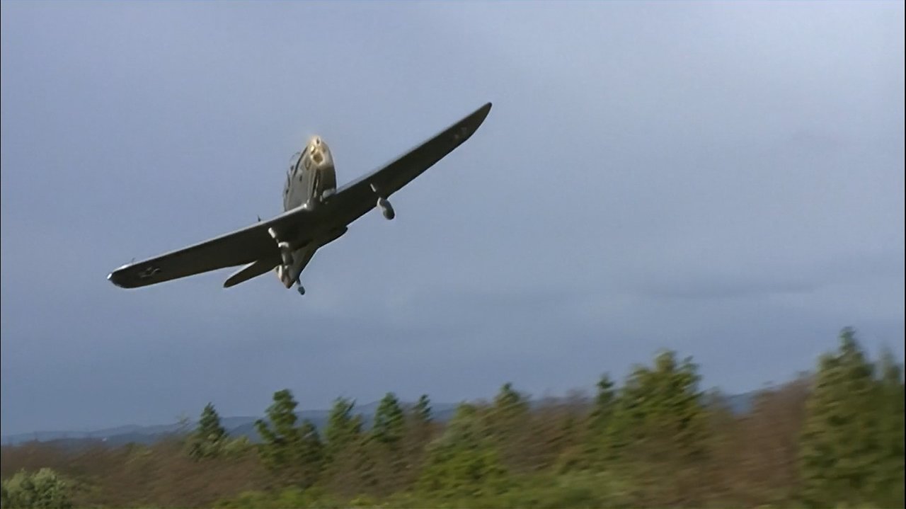 Os vídeos policiais mais selvagens backdrop
