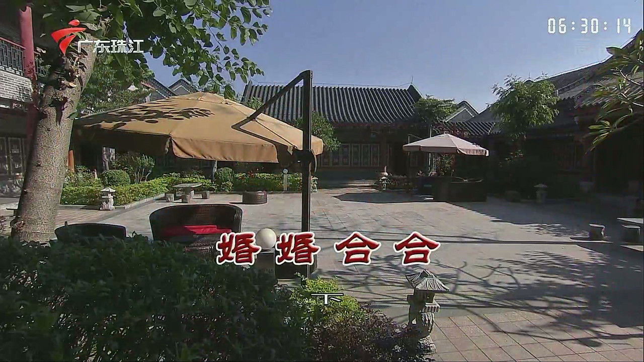 外来媳妇本地郎 — Épisode 3550