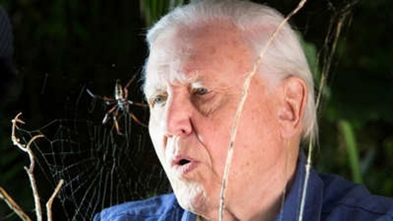 Micro Monsters with David Attenborough — Épisode 5