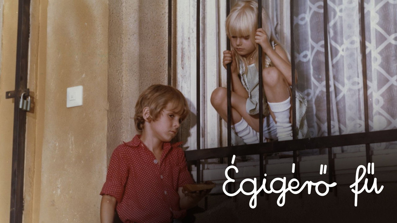 Égigérő fű – jelenetkép 2