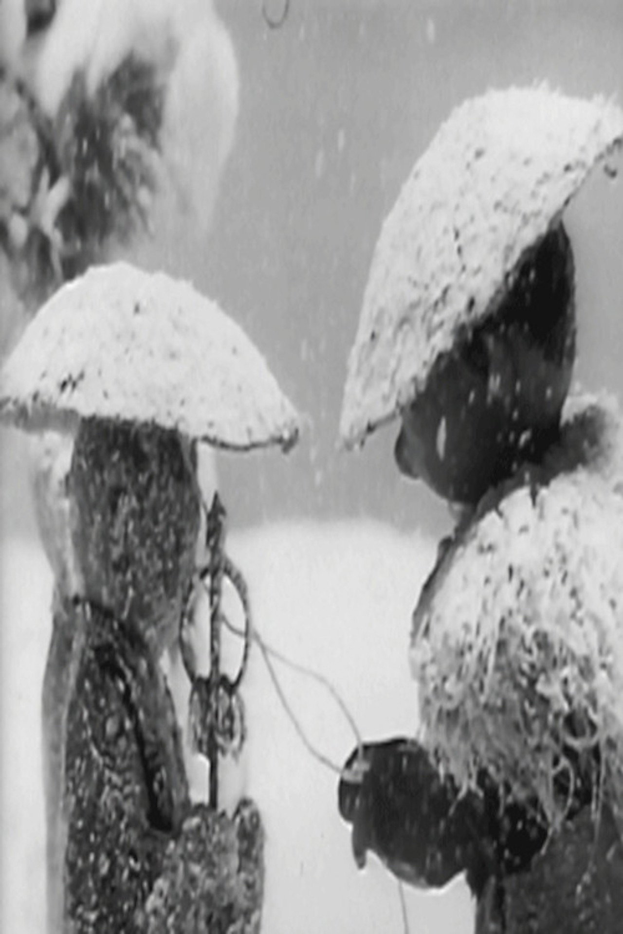 かさじぞう filmaffisch