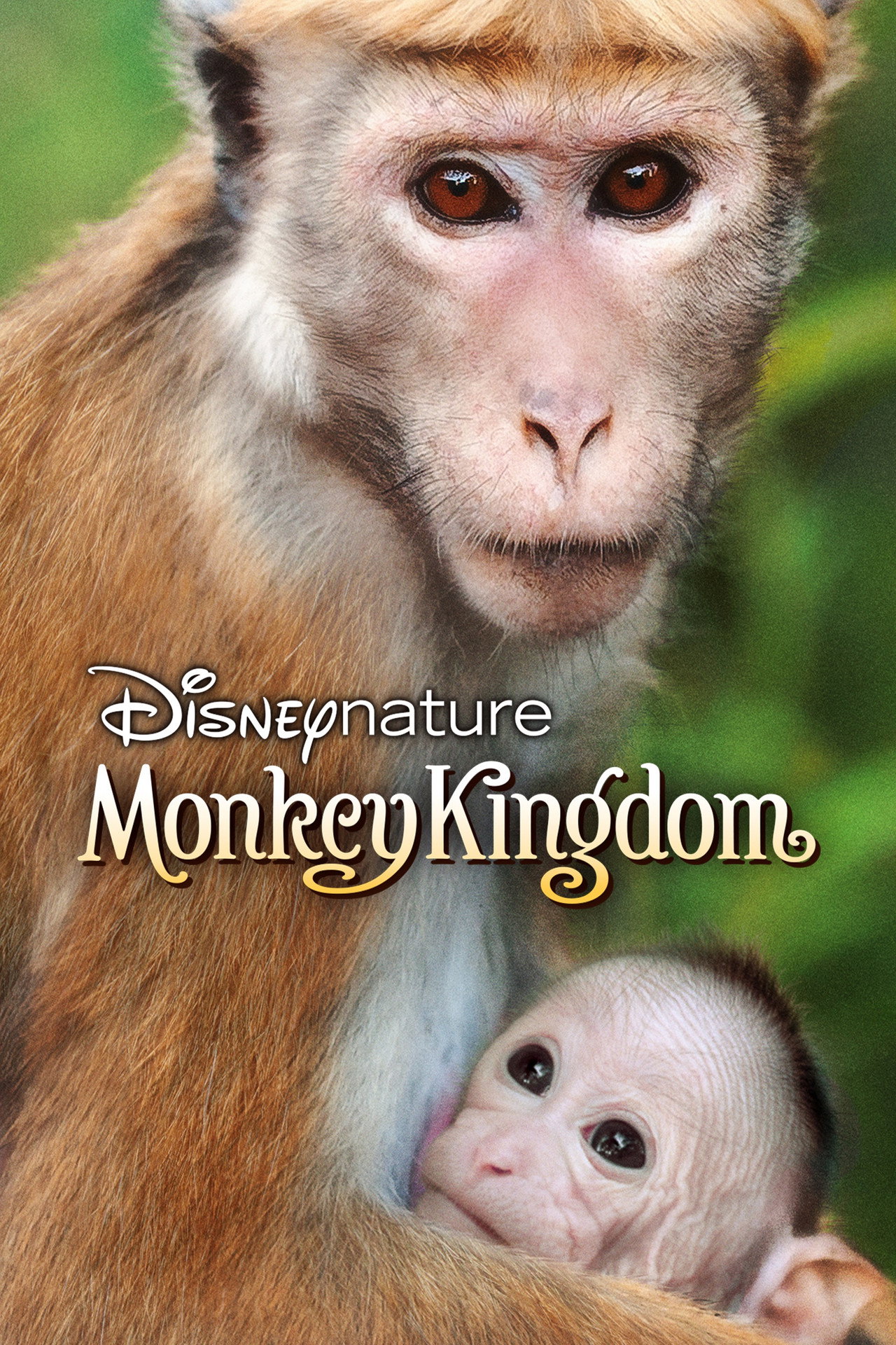 Monkey Kingdom