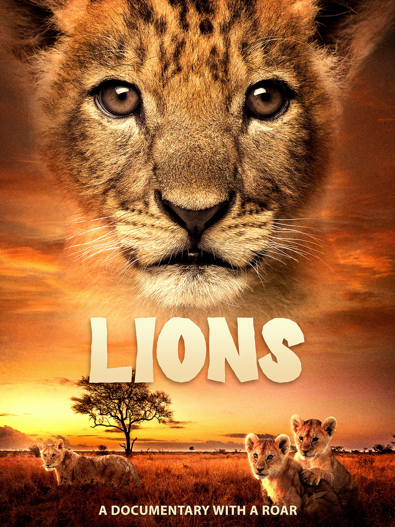 Lions filmaffisch