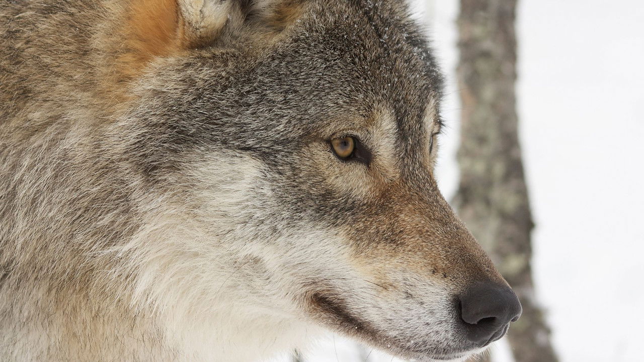 Deadly 60 — Épisode 16