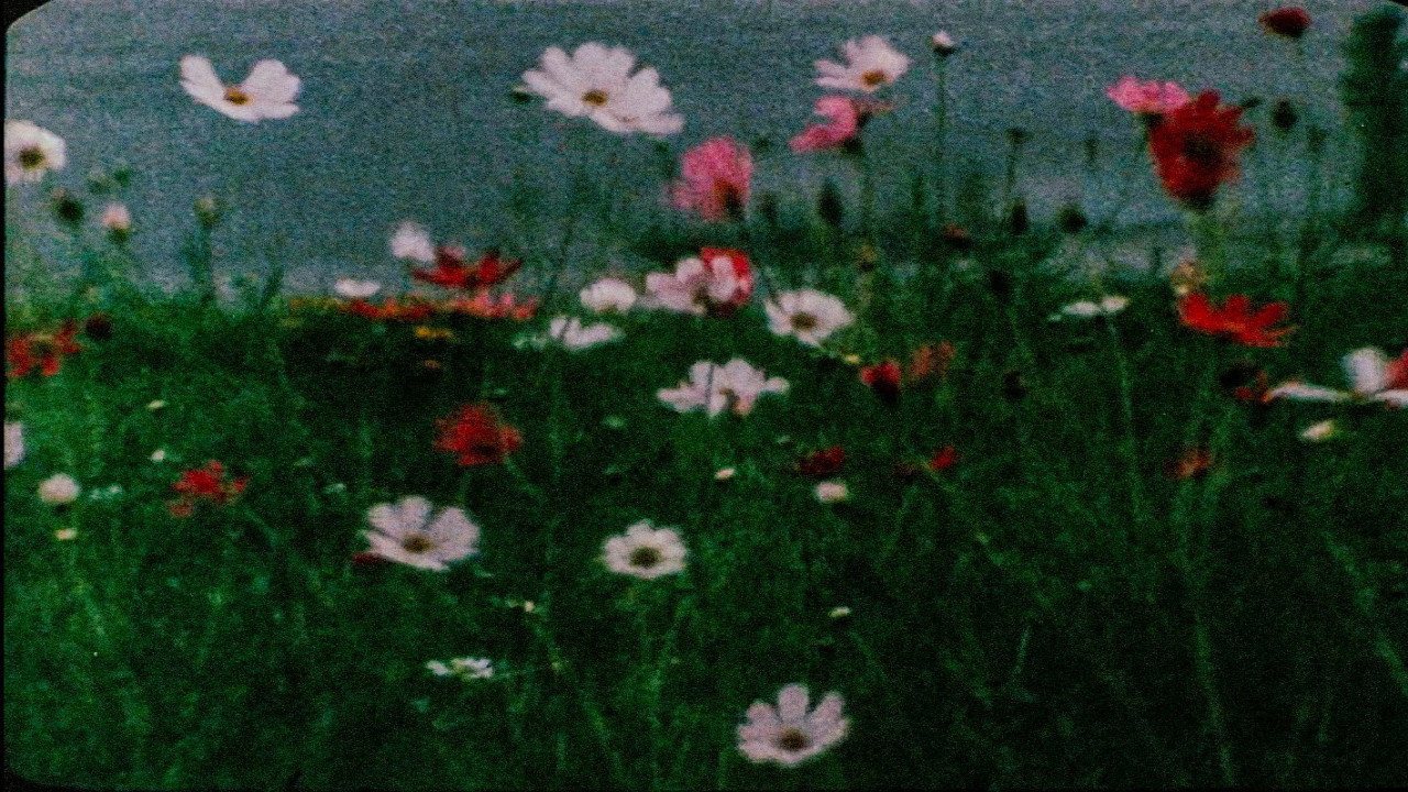 Fondo
