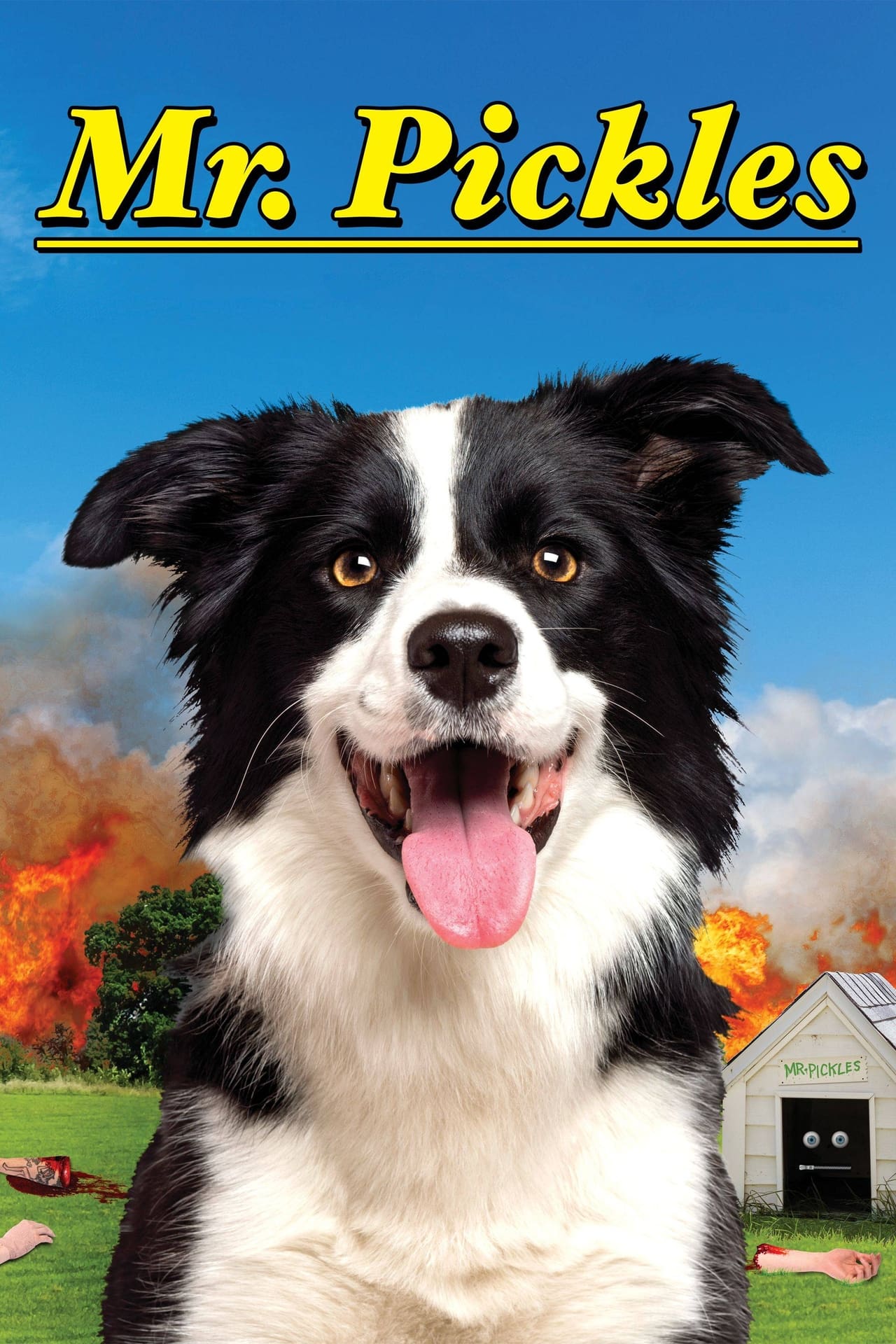 Dvd Mr. Pickles As 4 Temporadas - Dublado Ou Legendado