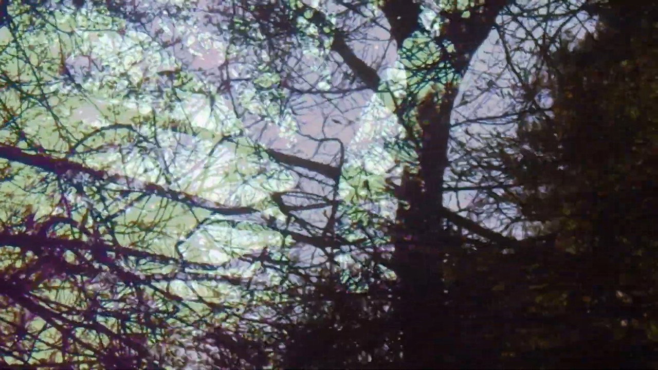 Two Forward Thinking Men In A Backwards World