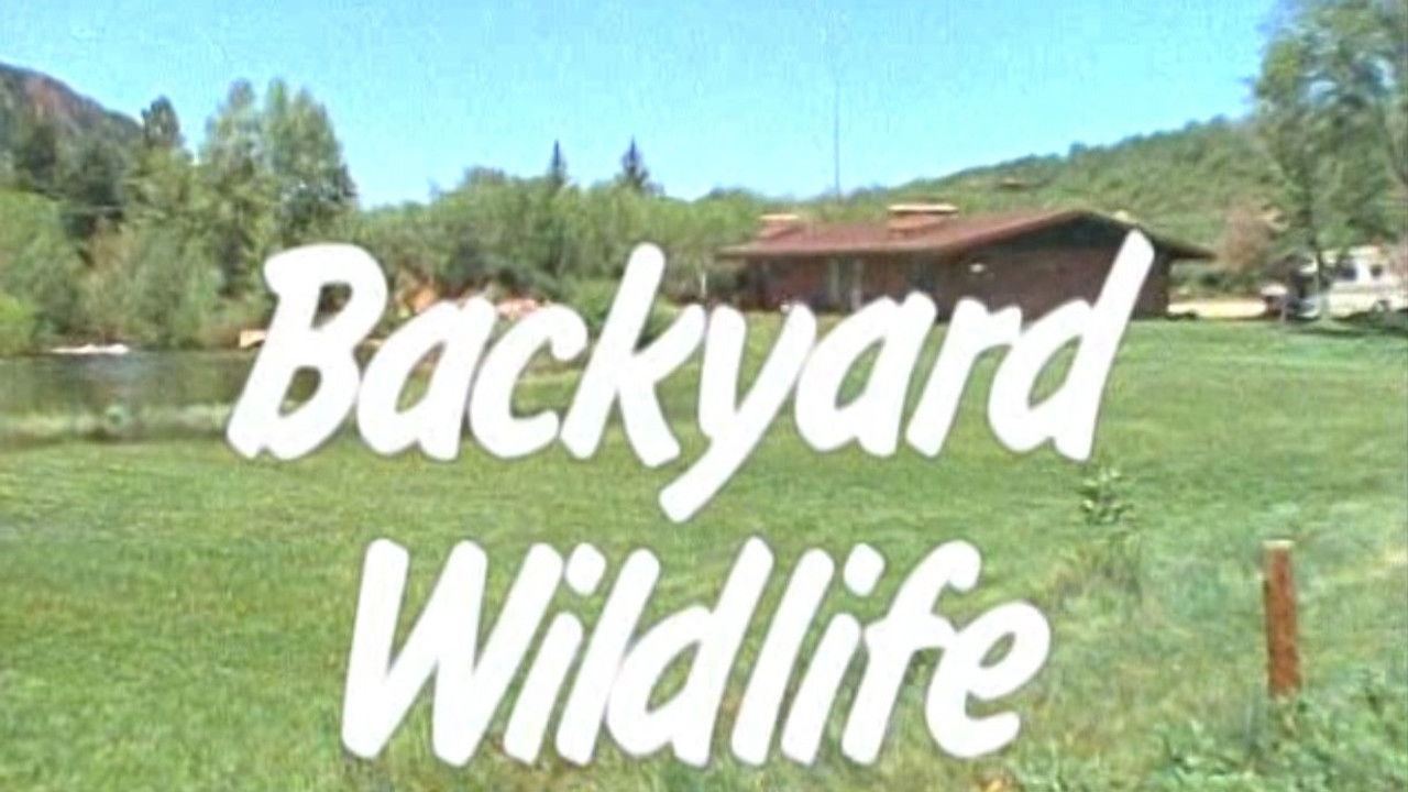 Marty Stouffer's Wild America — Épisode 10