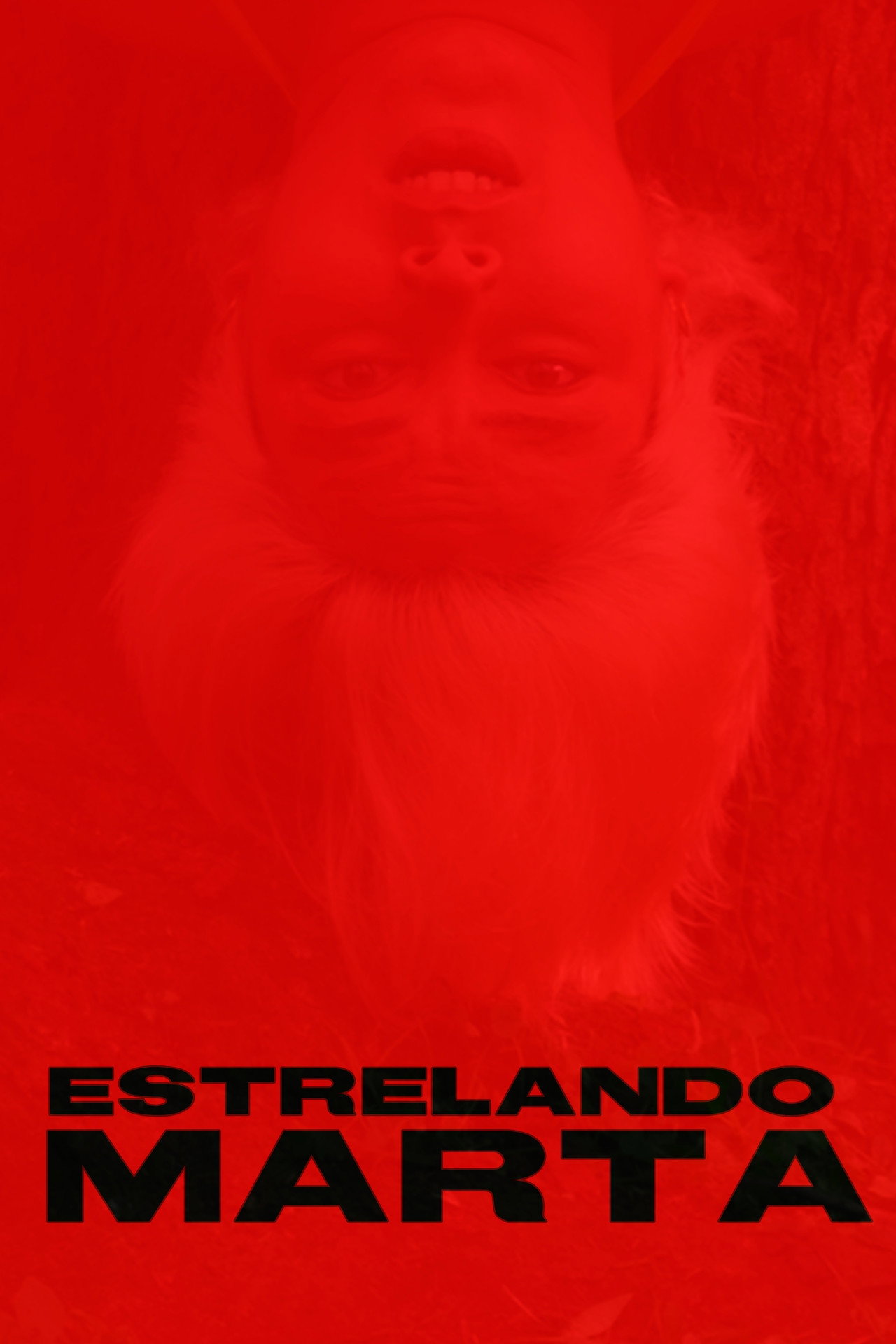 Estrelando Marta filmaffisch