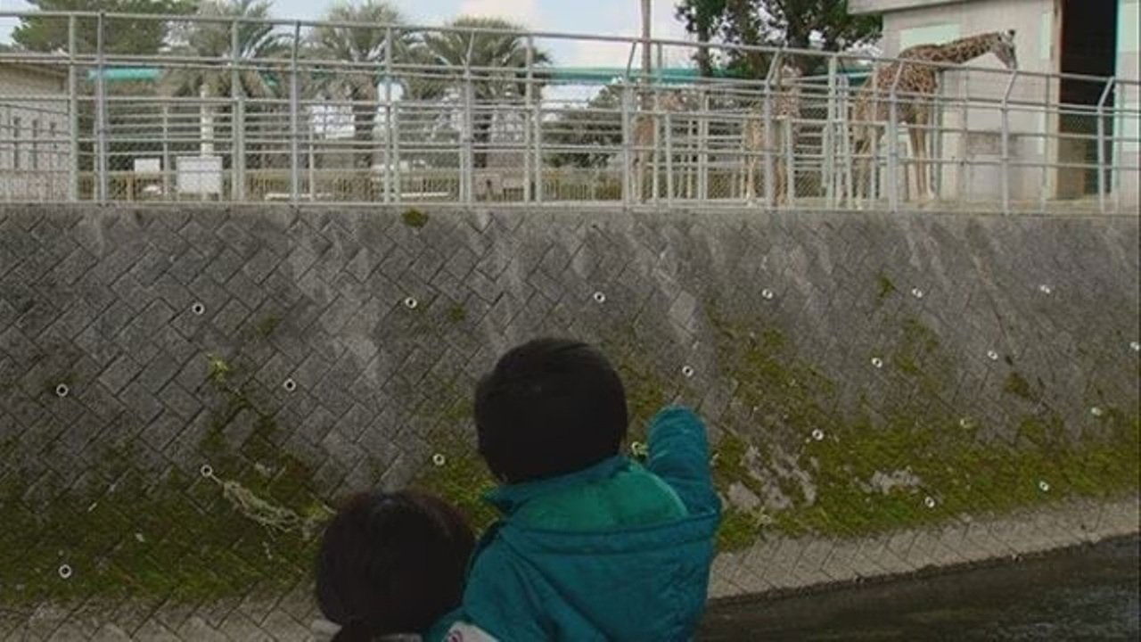 Document 72 Hours - Season 8 Episode 8 : A Walking Path Where You Can See Giraffes