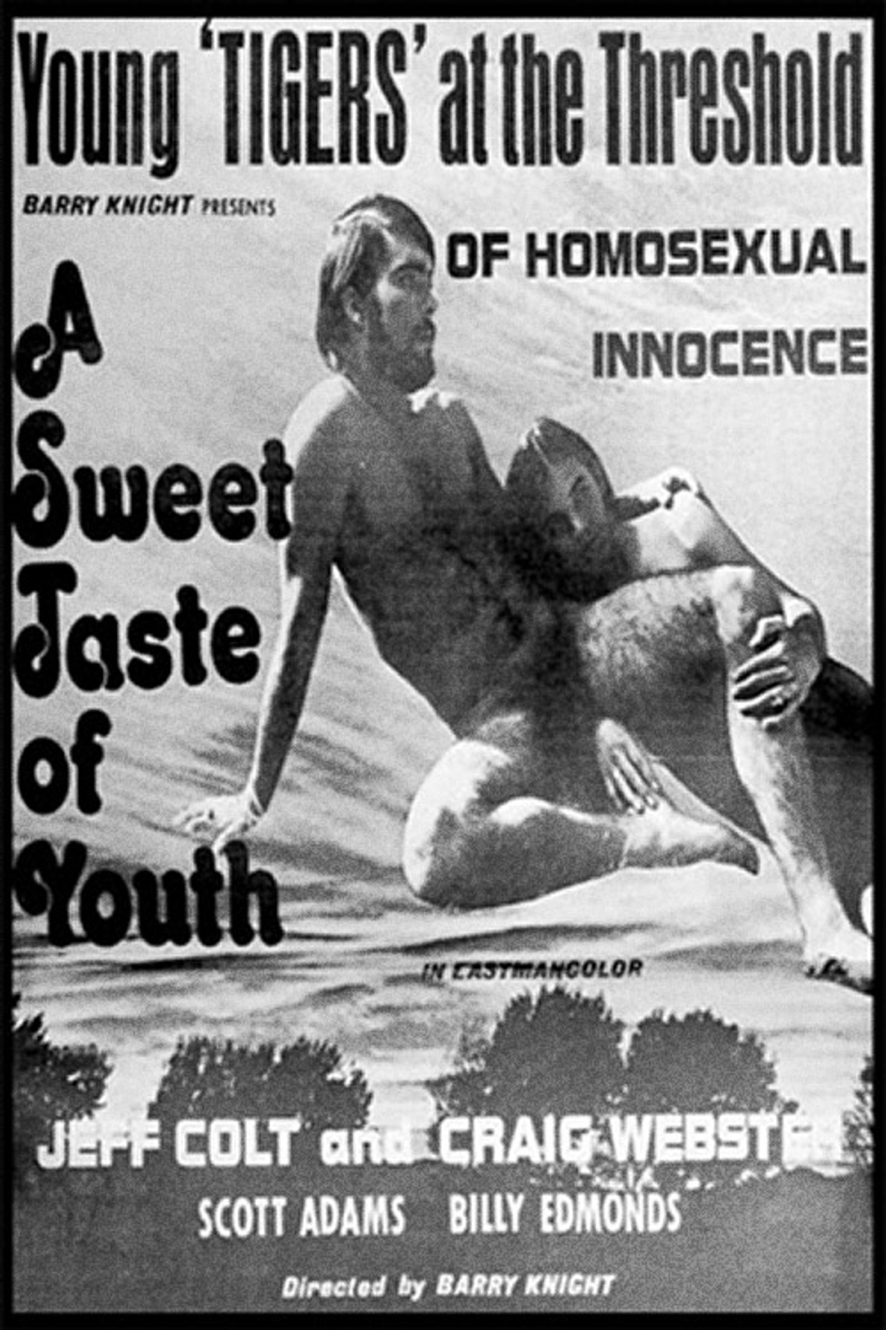 A Sweet Taste of Youth filmaffisch